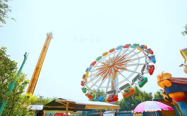 良心推荐｜1月高性价比出行，附出行指南和必游景点