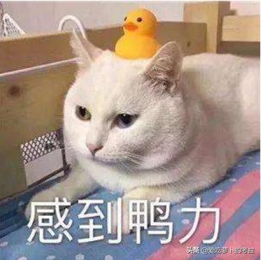 汉硕考研超话,汉硕考研为什么容易