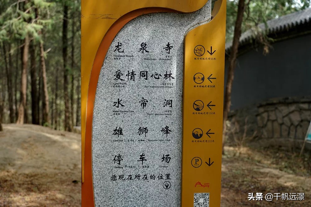 阳春四月迎来春,阳春四月槐花香