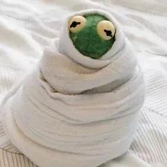 跟贺繁星学职场穿搭,贺繁星职场穿搭