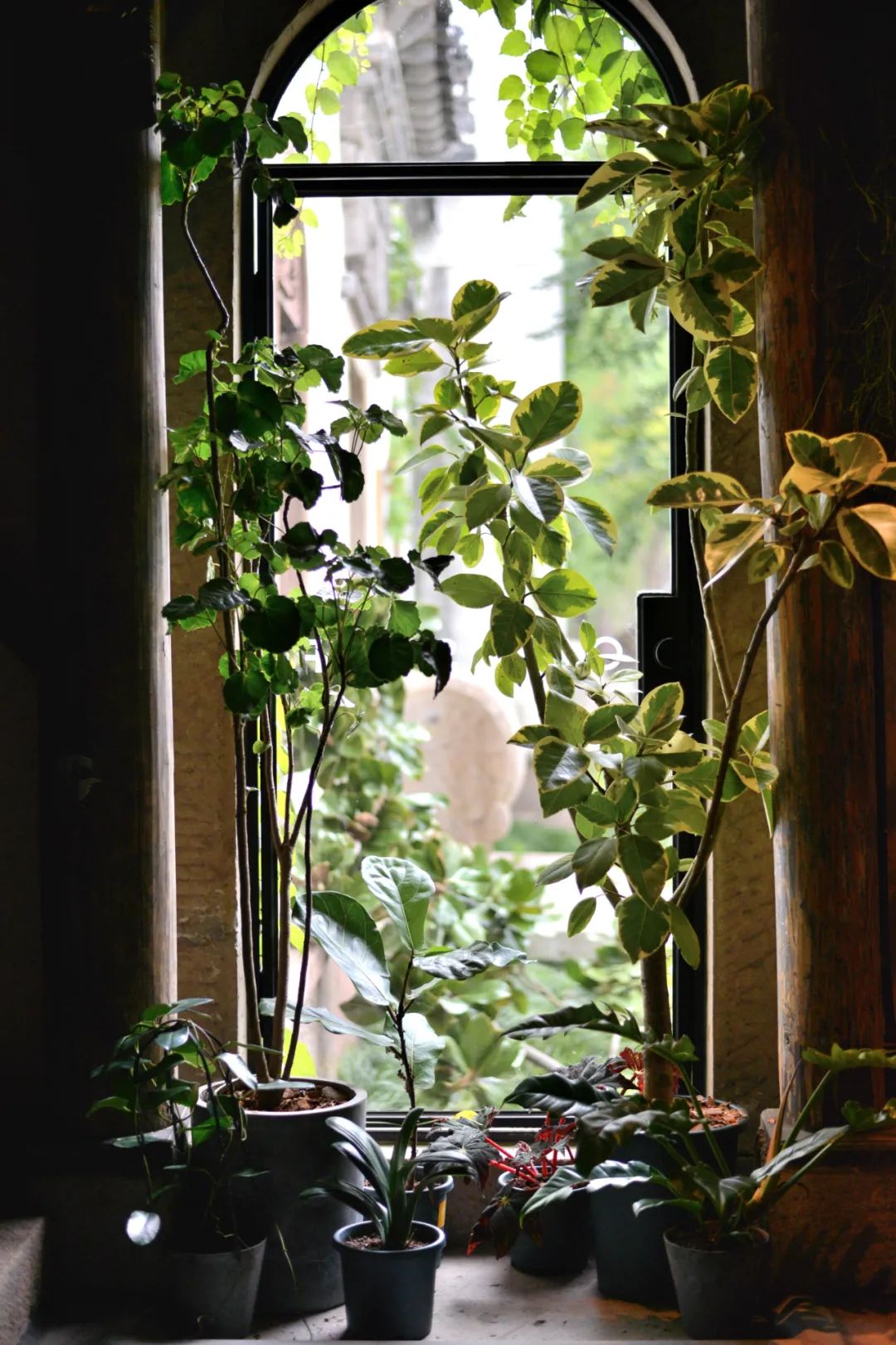 京城首家！探秘最热门“一尺花园”咖啡馆，西山脚*体下**会海派腔调