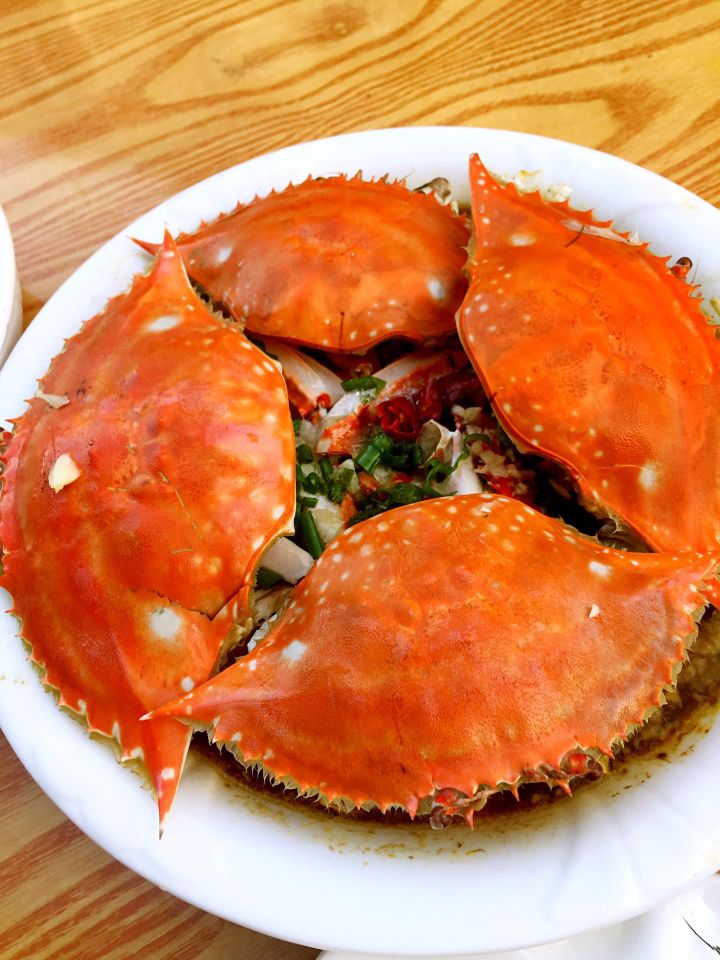 自驾游舟山朱家尖旅游攻略,舟山旅游攻略朱家尖露营