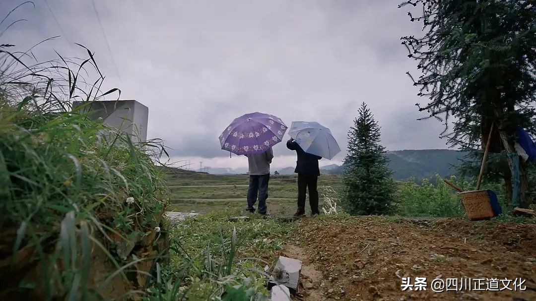 值得看的电影春天,春天的电影名字