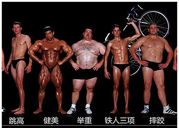 人类的生殖骨为什么退化了,人类为什么没有退化