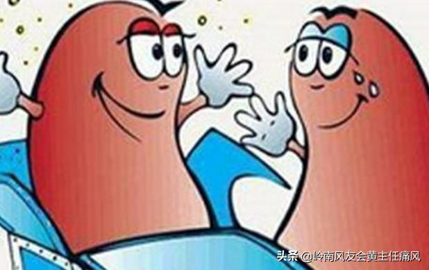 痛风患肾结石的概率高吗,痛风患者患肾结石的几率高吗