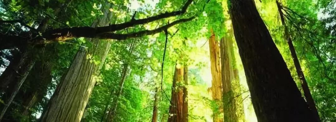 一分钟教你看懂吉他,吉他从入手到高手教程