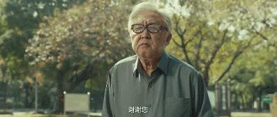 少年派大结局满是遗憾,少年派每个人的结局