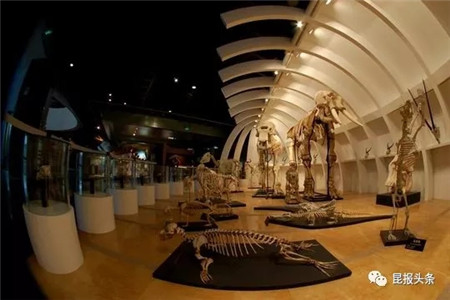 记录昆明之行生活足迹,昆明城市纪录片