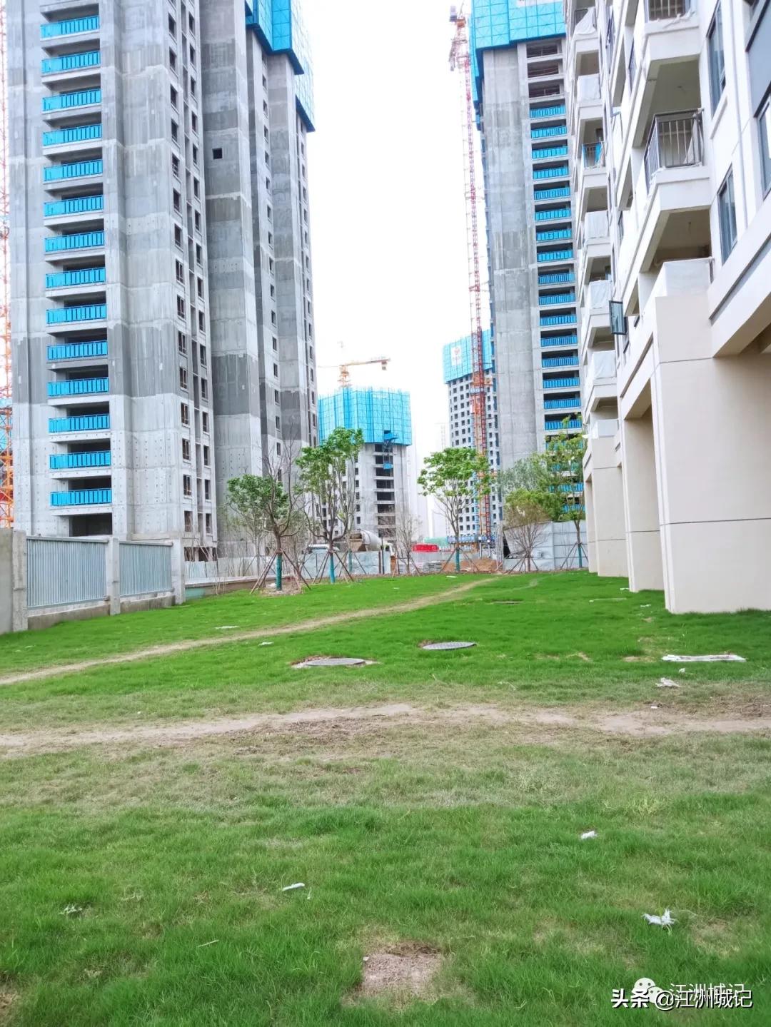 景瑞天赋滨江效果图,景瑞天赋滨江最新规划