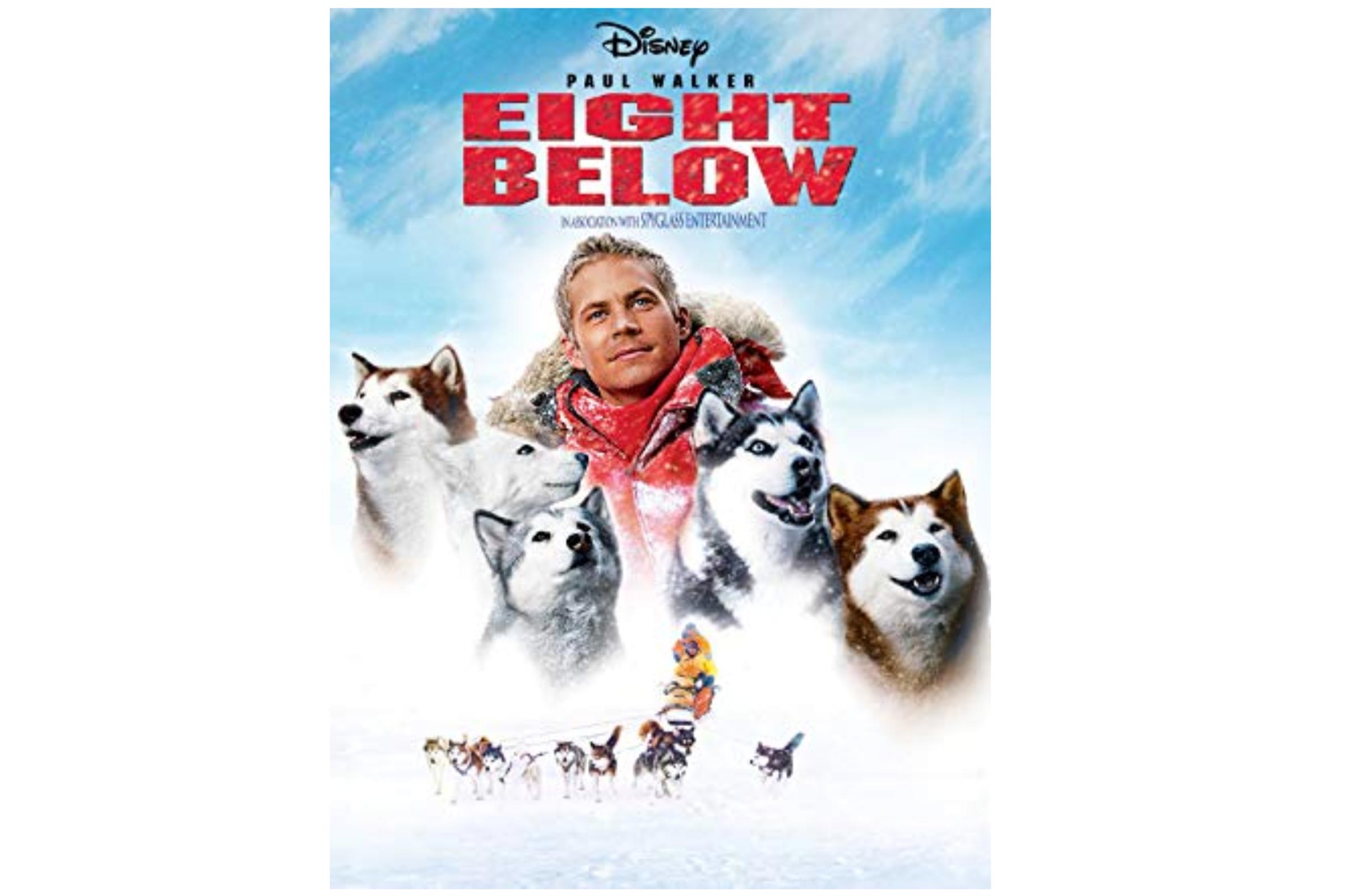 10部好看的女特工电影,10部好看的缉毒电影