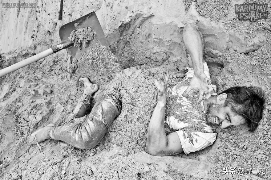 当治病钱有限的时候该怎么办,为什么宠物治疗费用这么高