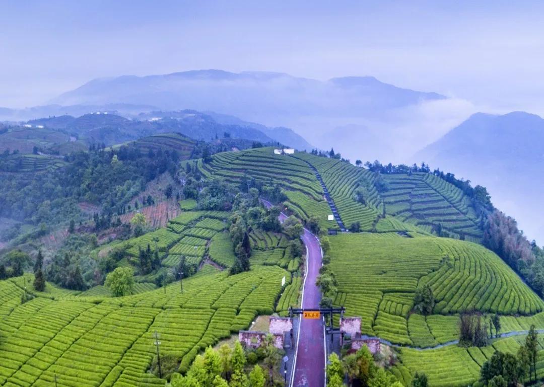 温州24个露营基地,温州湖岭露营地点推荐