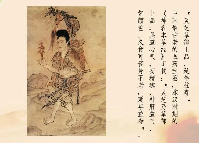 世间真有神仙草，但得灵芝享如意！画家笔下的灵芝图真灵