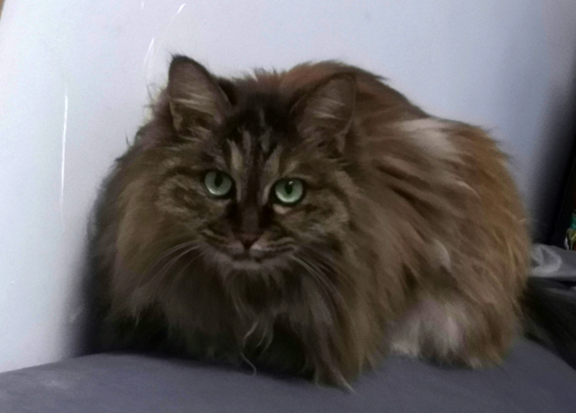 怎样处理家庭氛围的问题,家庭生活氛围怎么改善