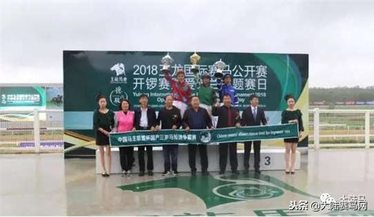 “苏萨”子嗣“玉龙宝石”问鼎马主联盟国产3岁纯血马争霸赛冠军