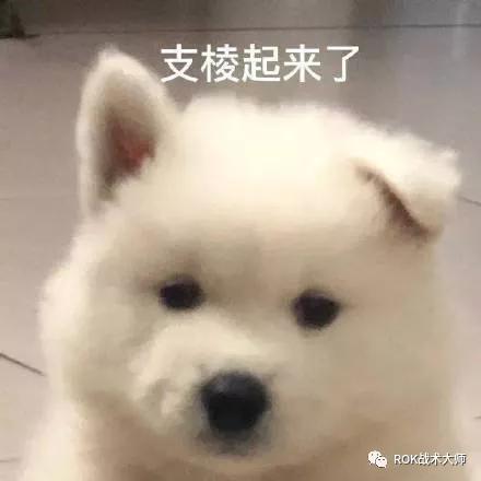 万国觉醒骑兵金装四件套,万国觉醒紫装和金装