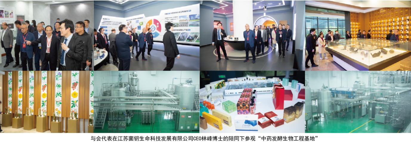 首届中医药传承创新大会,发酵中药现状