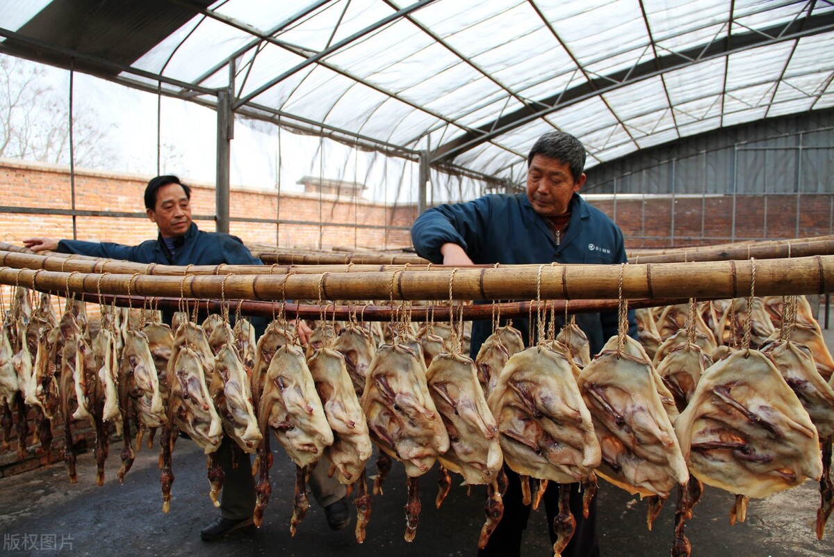 江西共青城有哪些好吃的,江西人都吃的菜