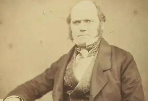 达尔文提出的是进化论还是演化论,达尔文进化论是什么世纪提出的