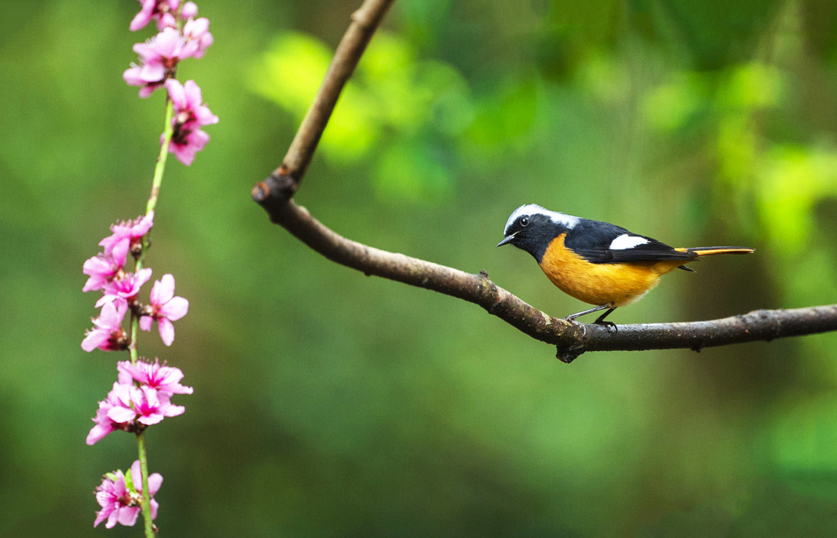 单反摄影参数设置技巧,单反拍摄led如何调整参数