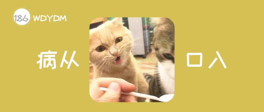 哪些食物和植物对猫咪有害,猫咪不能吃的十种食物有哪些