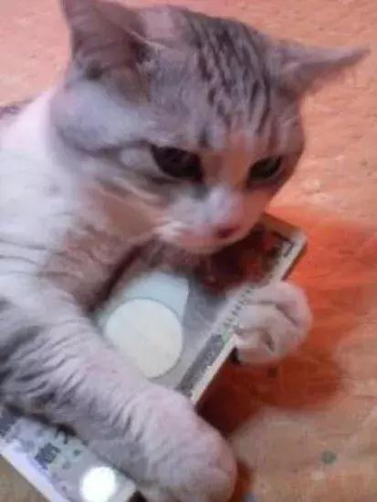 日本一般人工资收入,日本人工薪阶层人均月收入多少