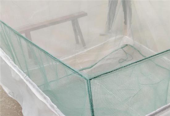 旱田莲藕泥鳅黄鳝套养技术视频,黄鳝泥鳅套养视频