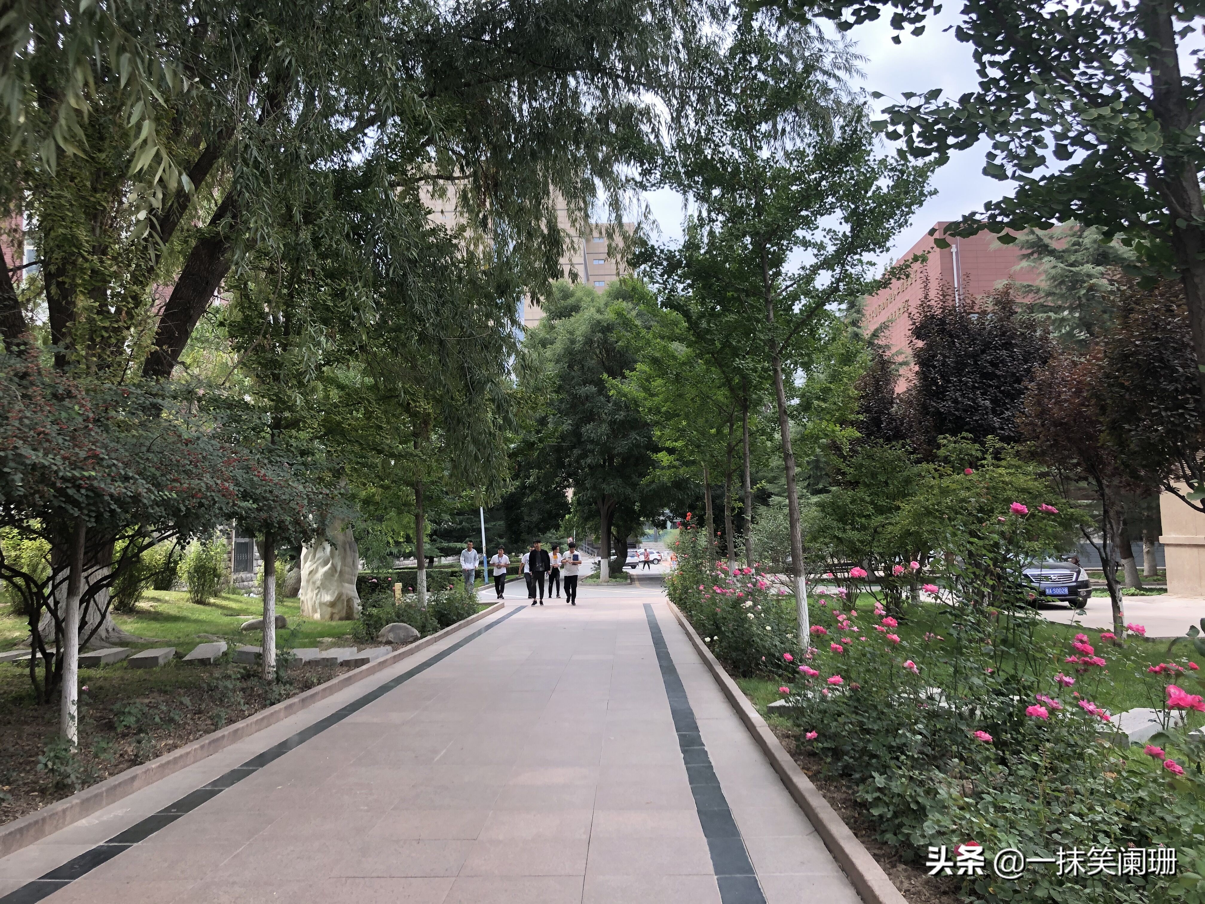 兰州交通大学在西北排名,西北第一高校是兰州大学