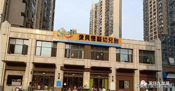 九龙湖幼儿园推荐,九龙湖幼儿园