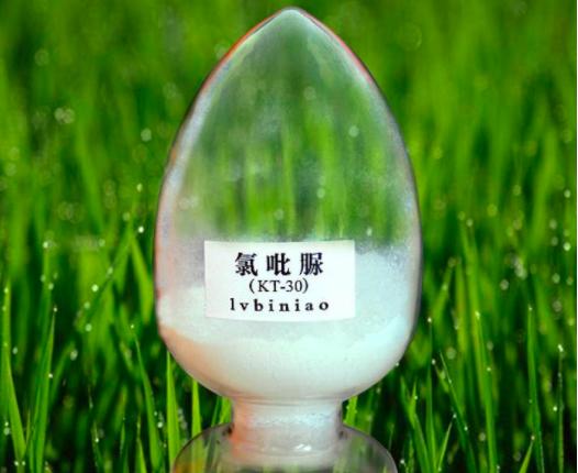 草莓真的打膨胀素了吗,草莓膨大打多了有坏处吗