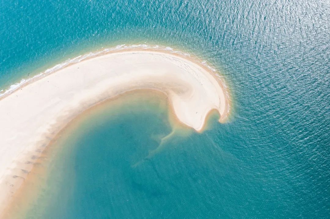 “蓝眼睛”迎来大爆发！现实版“奇幻漂流”，大海已经美成星河