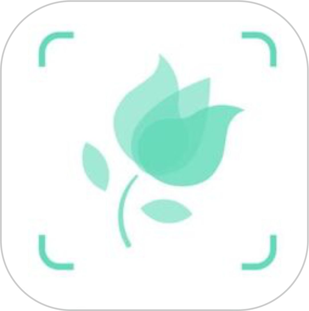 教师必备的10个教课的软件,有什么适合老师用的教学软件