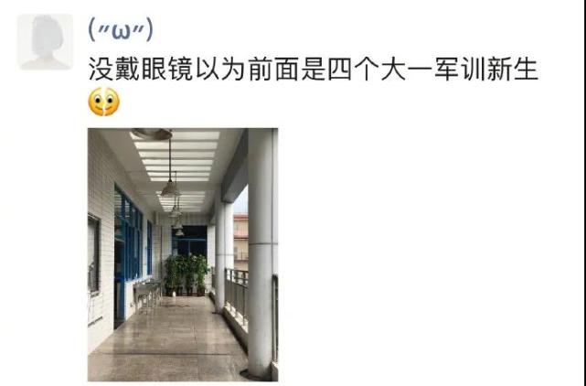 “喜欢绫波丽的男人脆弱还有恋母情结？”哈哈哈哈哈什么沙雕剧啊