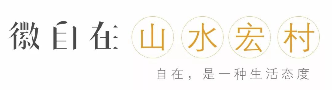 安徽黄山徽州宏村民宿,宏村民宿徽自在