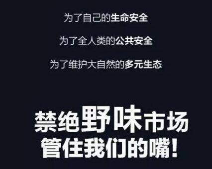 哪三种野生蝙蝠不能吃,十大不能吃的野生蝙蝠