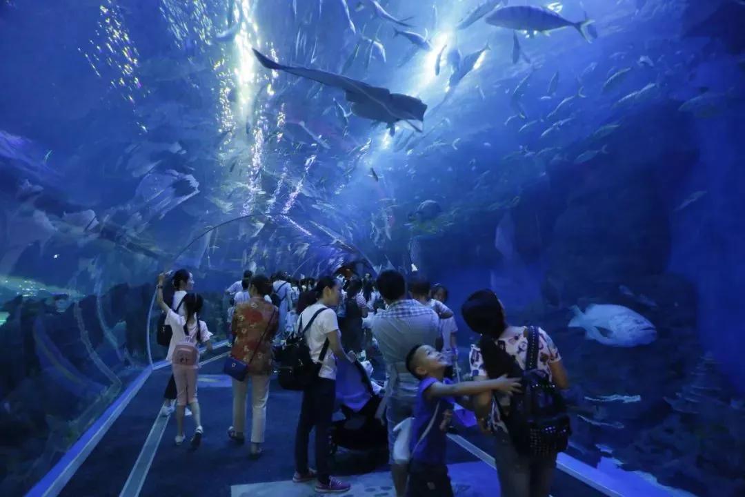成都海洋馆浩海立方奇幻之旅,成都浩海海洋立方馆和海洋世界
