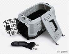 7大航空公司猫咪托运攻略,猫咪托运航空箱需要准备什么