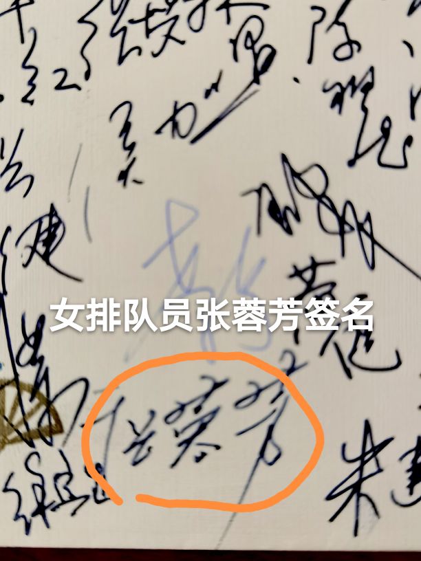 中国女排往事视频,中国女排的故事英文