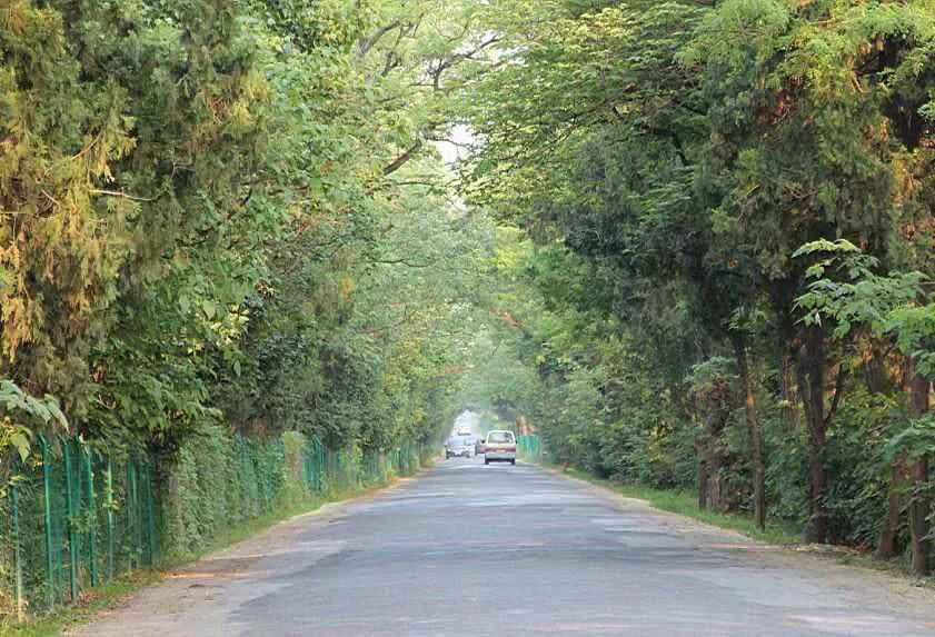 南京仙鹤门凶杀案,南京仙鹤门中学