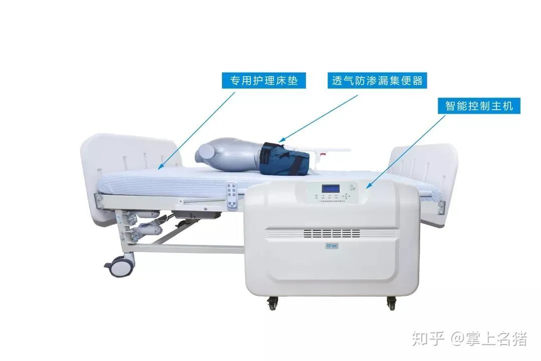 各式各样的护理机器人，可能是宅男宅女们的天堂？