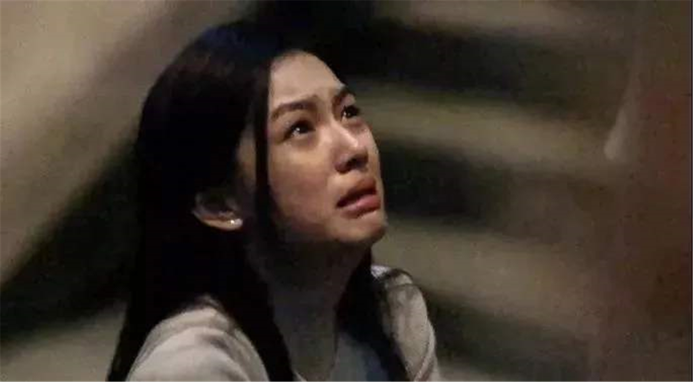 孩子胆小懦弱父母该如何教育引导,孩子性格倔强家长该怎么引导