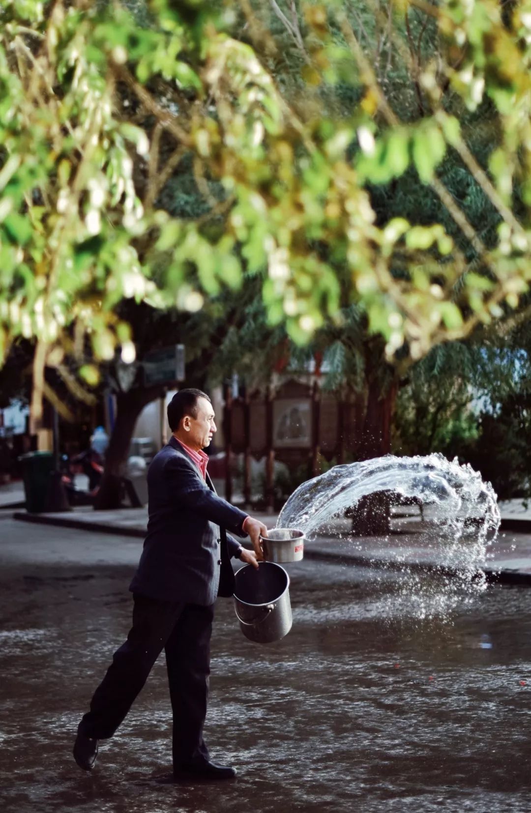 新疆炫富方式是什么,新疆喀什好种的花