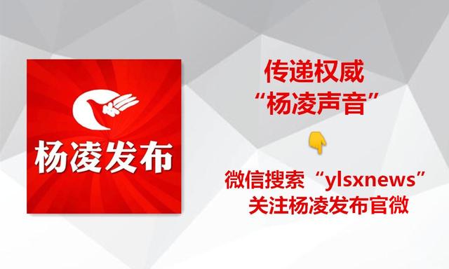 农村人居环境整治|从“三无”变“宜居”看杨凌这个村是怎样炼成的?
