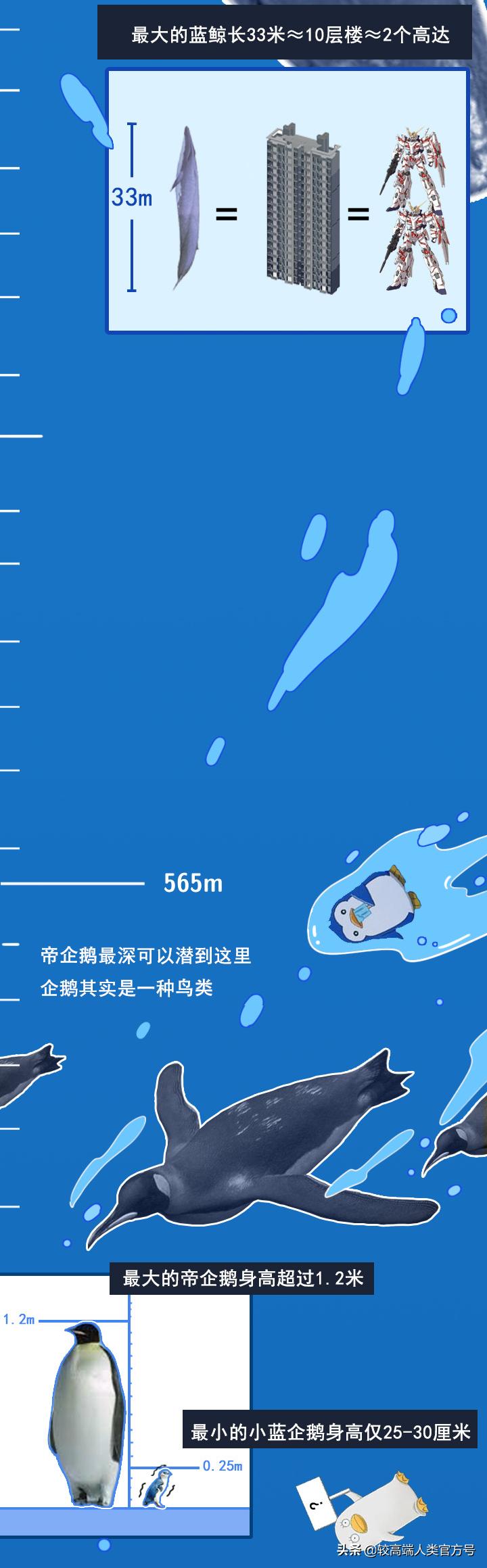 手机掉进水里十几秒有问题吗,手机掉入1000米