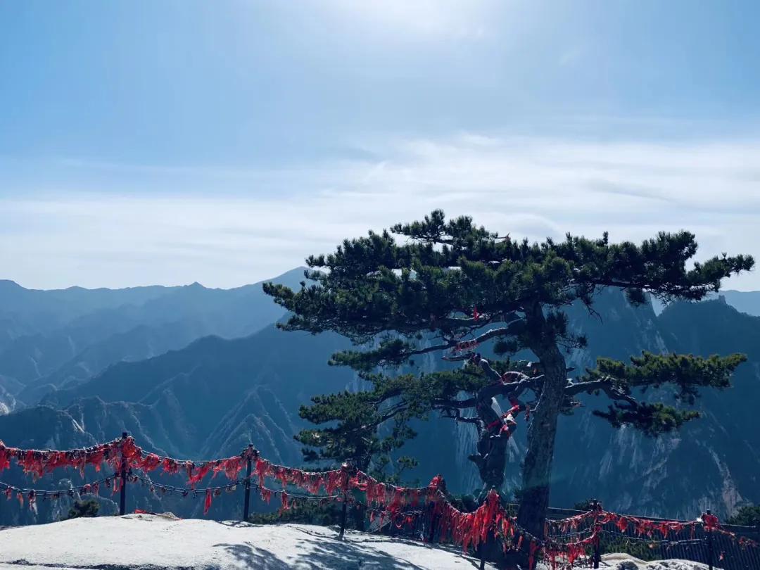 华山景区预约攻略图文解说,华山旅游攻略春季景点免费预约