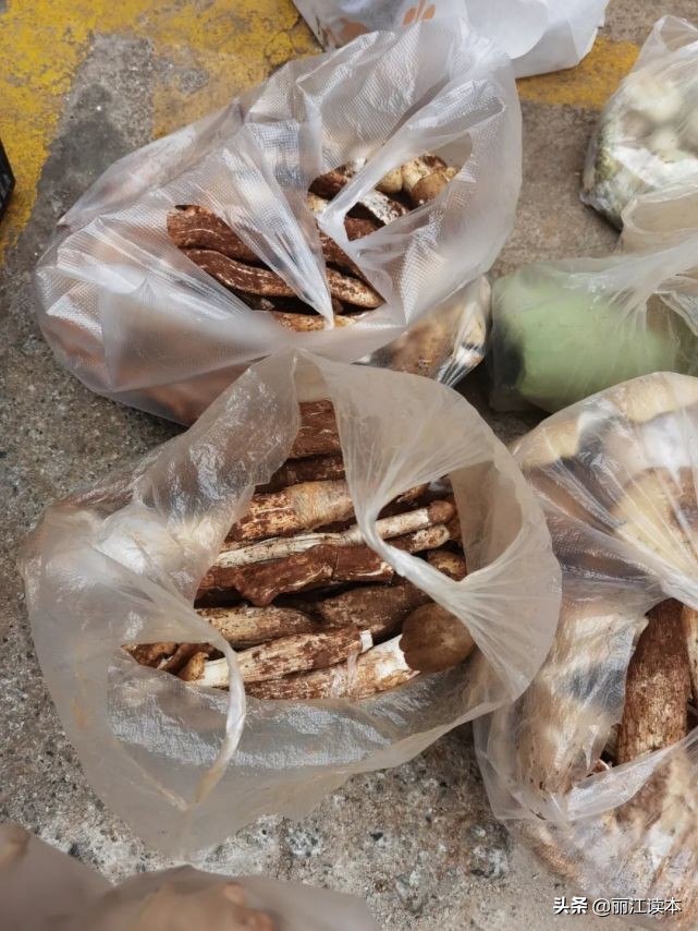 瓜瓜豆豆的视频,瓜瓜豆豆视频