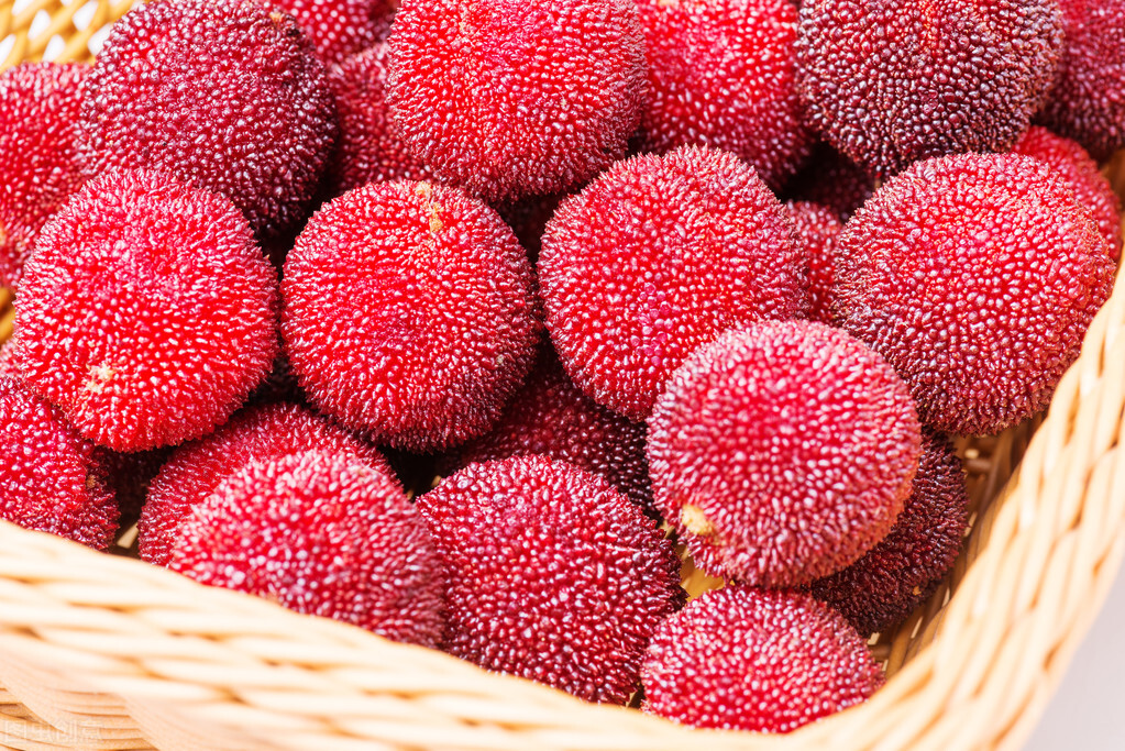 杨梅到底有多好吃,杨梅高品质什么颜色