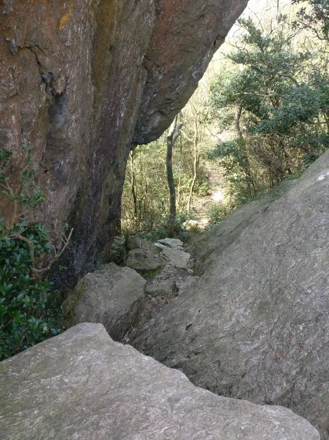 上海自驾舟山桃花岛游路线推荐,从上海去桃花岛如何安排行程