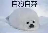 抖音老罗王欣,老罗王欣最新消息