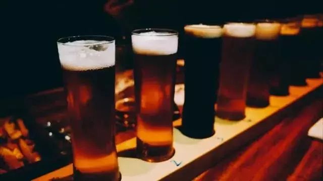 单身狗保护条例,单身狗防伤害地图指南